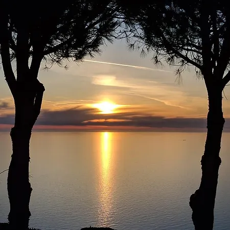 Βίλα Drimoni Δρυμώνας